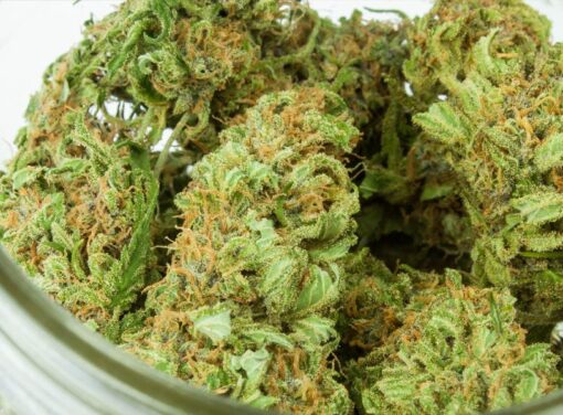 Mason jar filled with medical marijuana