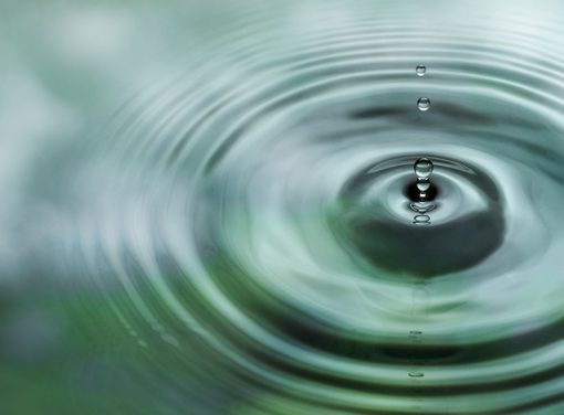 water droplet in pond